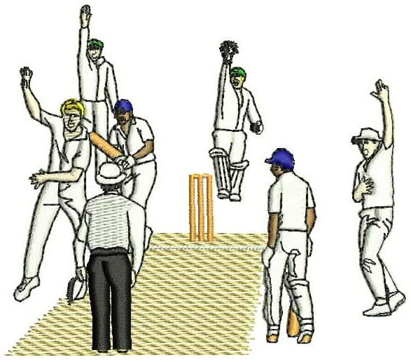 Cricket0006.jpg - large